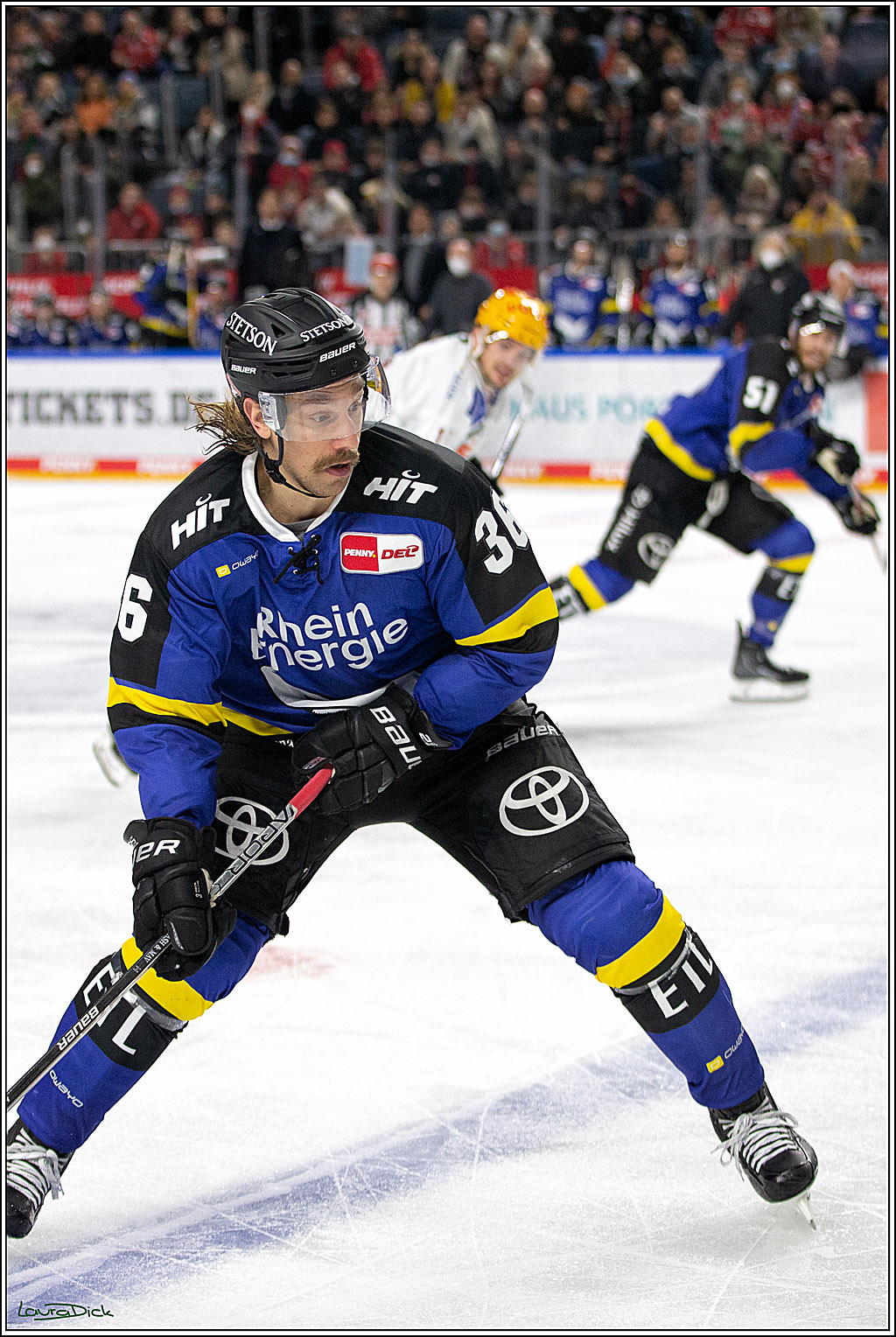 PENNY DEL; Koelner Haie- Fishtown Pinguins Bremerhaven; Koeln, 23.11.2021